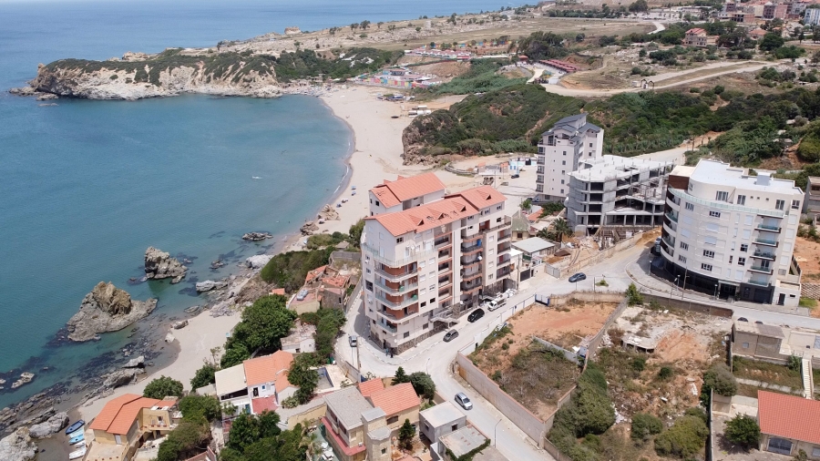 DJI_0220.MP4.00_00_00_00.Still001